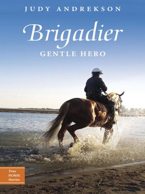cover image of Brigadier